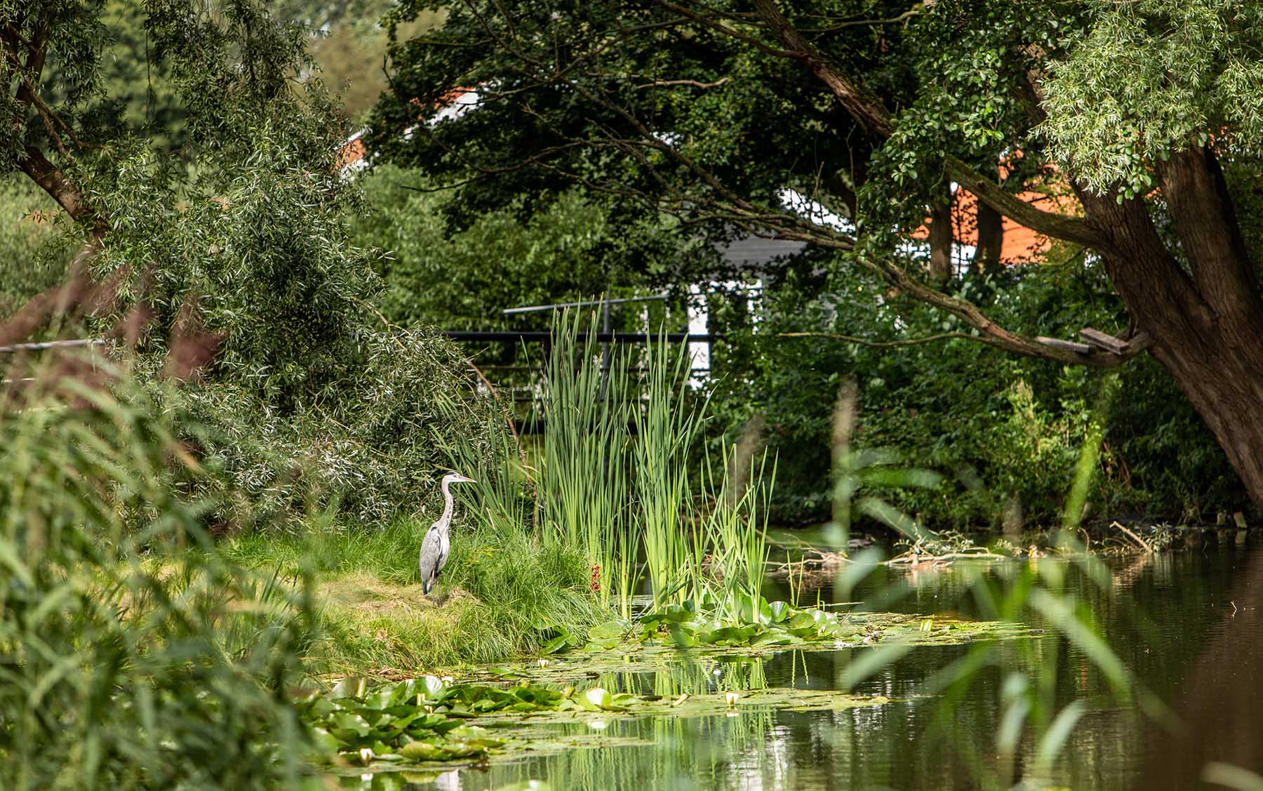 Sfeerbrochure Kwadijkerpark