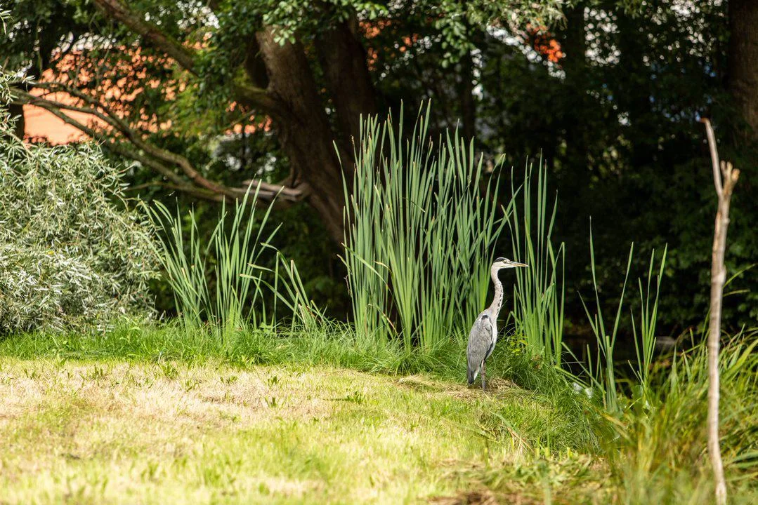 Park-inclusief bouwen